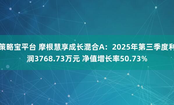 策略宝平台 摩根慧享成长混合A：2025年第三季度利润3768.73万元 净值增长率50.73%