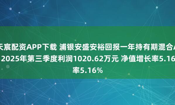 天宸配资APP下载 浦银安盛安裕回报一年持有期混合A：2025年第三季度利润1020.62万元 净值增长率5.16%