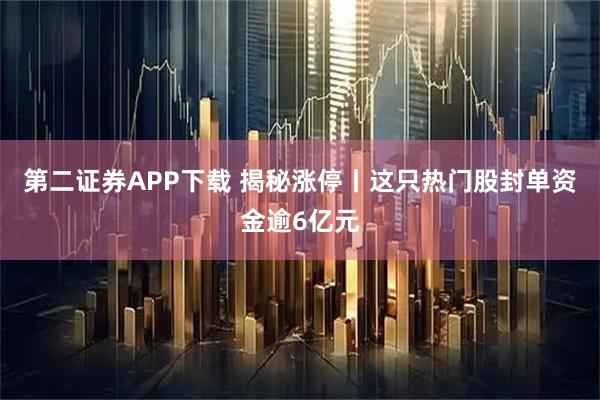 第二证券APP下载 揭秘涨停丨这只热门股封单资金逾6亿元