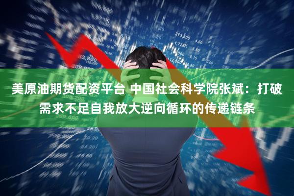 美原油期货配资平台 中国社会科学院张斌：打破需求不足自我放大逆向循环的传递链条