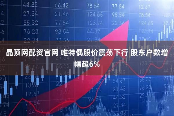 晶顶网配资官网 唯特偶股价震荡下行 股东户数增幅超6%